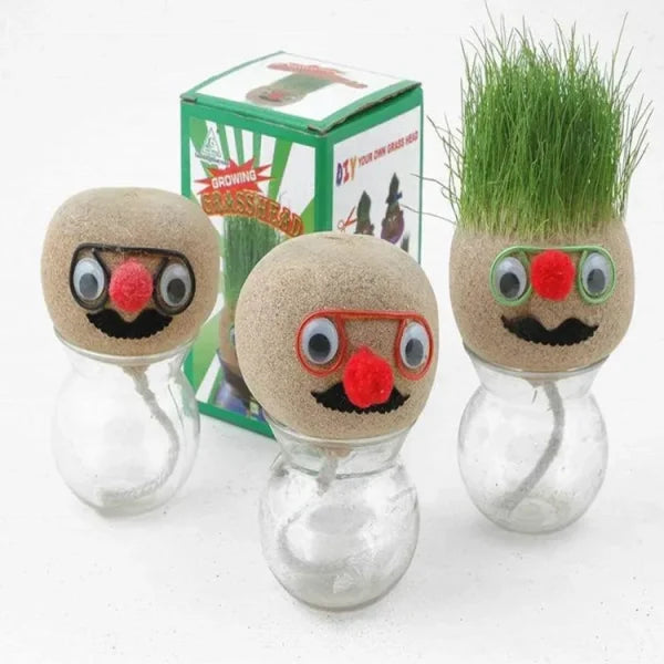 DIY Grass Head- Grow And Learn With Fun